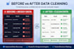 clean and analyze customer data with python visualizations