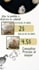 asistencia virtual diseño canva