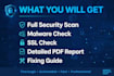 do basic website security audit and vulnerability check