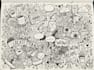 create a hand drawn doodle illustration