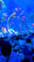make 360 immersive projection, 3d projection mapping, dome projection, led wall