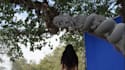 add visual effect, vfx compositing, special effects , ai vfx