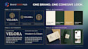 create branded social media content and a visual brand identity