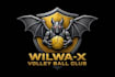 do modern mechanical bat logo with free source files