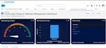 set up and customize salesforce CRM
