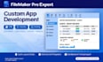 develop and fix your filemaker database
