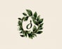 design botanical hand drawn logo
