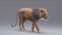 create 3d animal animation, 3d cgi animal, 3d design, animal animation, 3d model