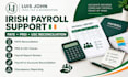 provide irish payroll support with paye, prsi and usc reconciliation for smes