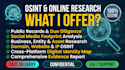 conduct professional osint investigation and online research