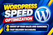 do wordpress and shopify  speed optimization for google pagespeed  insights