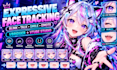 rig live2d vtuber model with vbridger for vtube studio