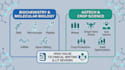 write b2b summaries and reports for biotech and agtech