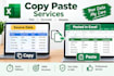 do excel data entry, copy paste, and data formatting