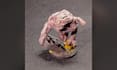 paint your board game miniatures to tabletop or display quality