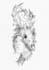 create an illustrative tattoo design
