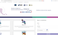 develop apis using java and sprint boot or dot net