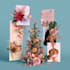 do a custom affirmation cards, christmas scripture cards