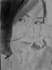 draw a realistic pencil sketch portrait