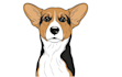 draw vector line art for your pet 24 hours