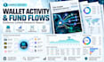analyze smart money wallets crypto whales and on chain activity