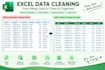 clean format and organize excel data