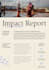 write ngo impact stories and project reports