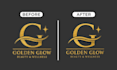do professionally redesign and refine your existing logo