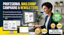 design mailchimp email newsletter and setup automation