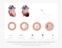 design premium manuscript figure and graphical abstract