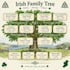 research your irish family tree