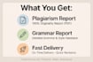 rewrite, fix plagiarism, correct grammar, improve reading