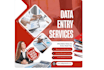 do excel data entry data cleaning and spreadsheet formatting
