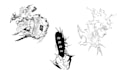 design a cybersigilism anime tattoo