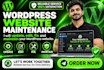 provide monthly wordpress maintenance and website care plan