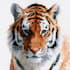 create realistic animal illustration