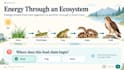 create interactive HTML lessons and presentations
