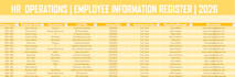 create professional excel spreadsheets and data entry