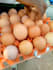 write a comprehensive agribusiness plan and financial model