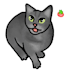 draw a cute picture of your pet