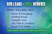do b2b lead generation, data entry and excel data entry