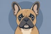 draw custom pet portraits