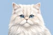 illustrate your furry friend