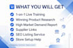 teach you ebay amazon temu walmart dropshipping