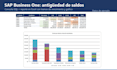 integrate and build custom reports for sap business one