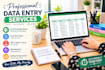 do professional data entry, copy paste, and web research work