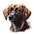 paint stunning pet portrait