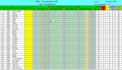 do excel data entry and spreadsheet formatting