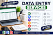 Do accurate data entry, copy paste and excel data entry by Anwar_345 ...