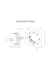 prepare electrical related documentation graphics and cad drawings